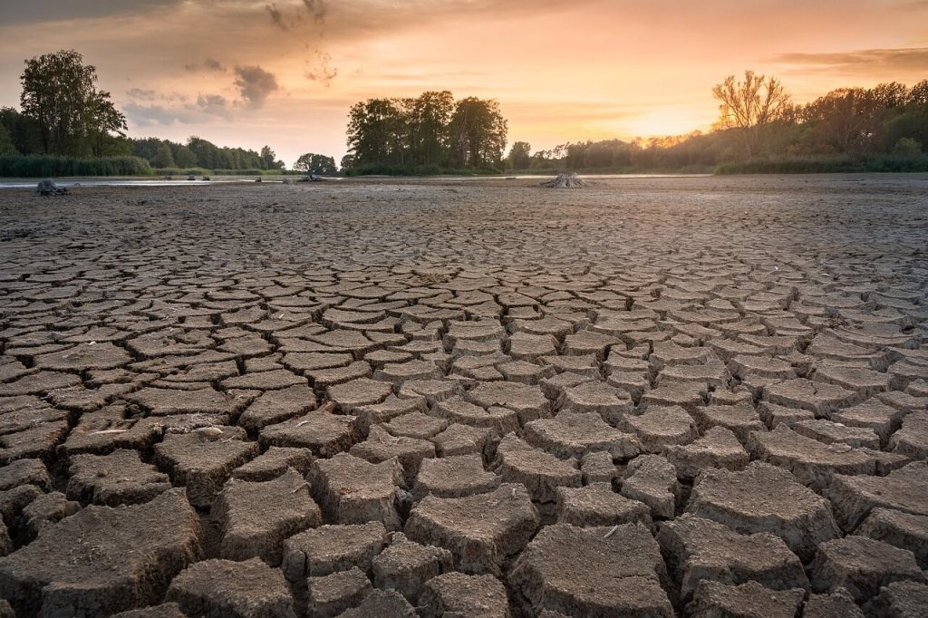 ¿Qué medidas son más efectivas para reducir el consumo de agua en nuestras ciudades? Combinando ingeniería y ciencias sociales 1
