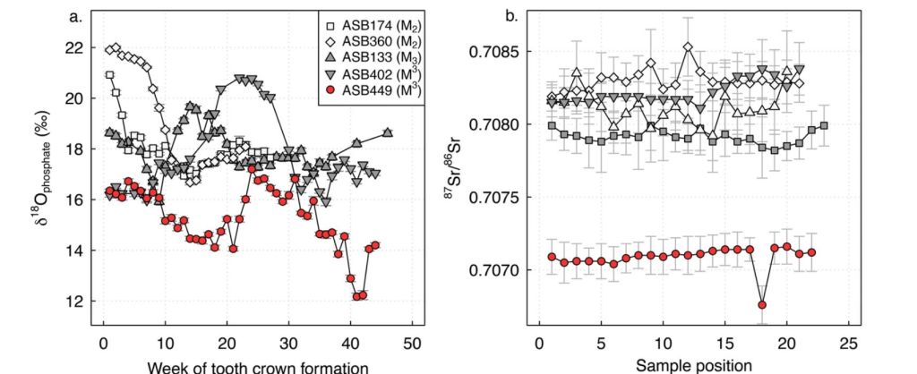 Análisis geoquímicos de jabalíes de Asiab
