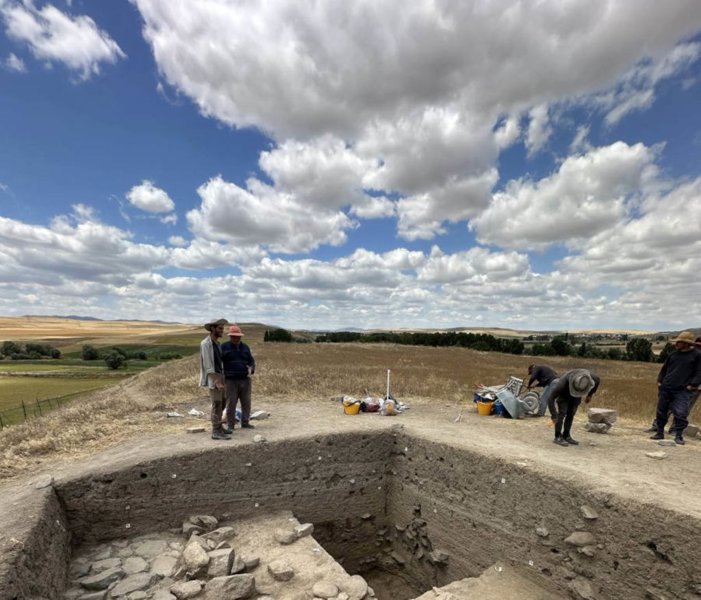 Excavación en Zippalanda