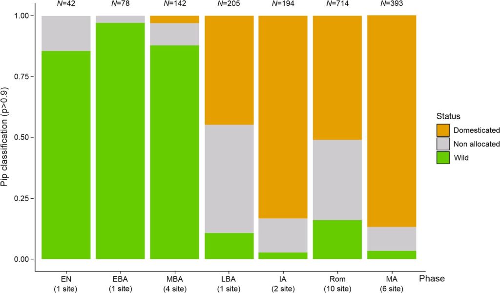 Domesticación de la vid en Italia
