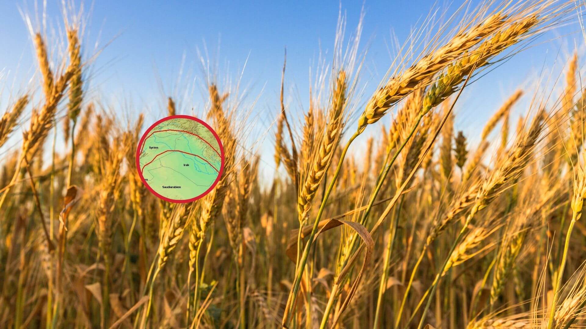 De nómadas a agricultores, el giro que transformó nuestra forma de vivir y dio origen a la sedentarización