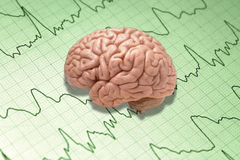 El cerebro revela su secreto, así combina lo que vemos y oímos para tomar decisiones más rápidas 2