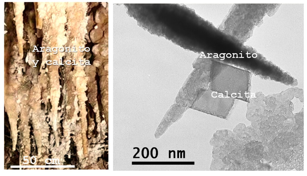 Figura 1 Cristalización de minerales de carbonato de calcio formando estalactitas en la cueva de La Chambre, Francia (izquierda), crédito wikiloc (https://es.wikiloc.com/rutas-espeleologia/lachamb). Cristalización de nanopartículas de calcita y aragonito por carbonatación del hidróxido de calcio en el laboratorio en condiciones de alta humedad relativa. Imagen de microscopio de transmisión TEM) (derecha), crédito Luz S. Gómez Villalba. Nanotecnología.