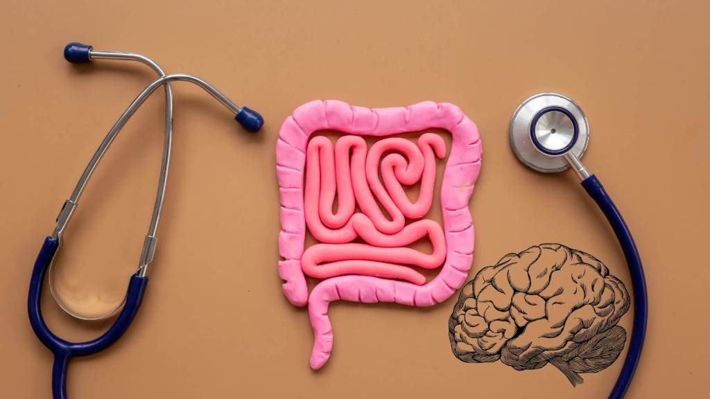 La pandemia dejó huella en el intestino, reportan más trastornos que conectan cerebro y digestión tras el COVID-19 3