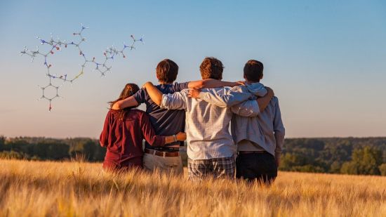 La sorprentes química de la amistad, así revela la oxitocina quiénes son nuestros verdaderos amigos