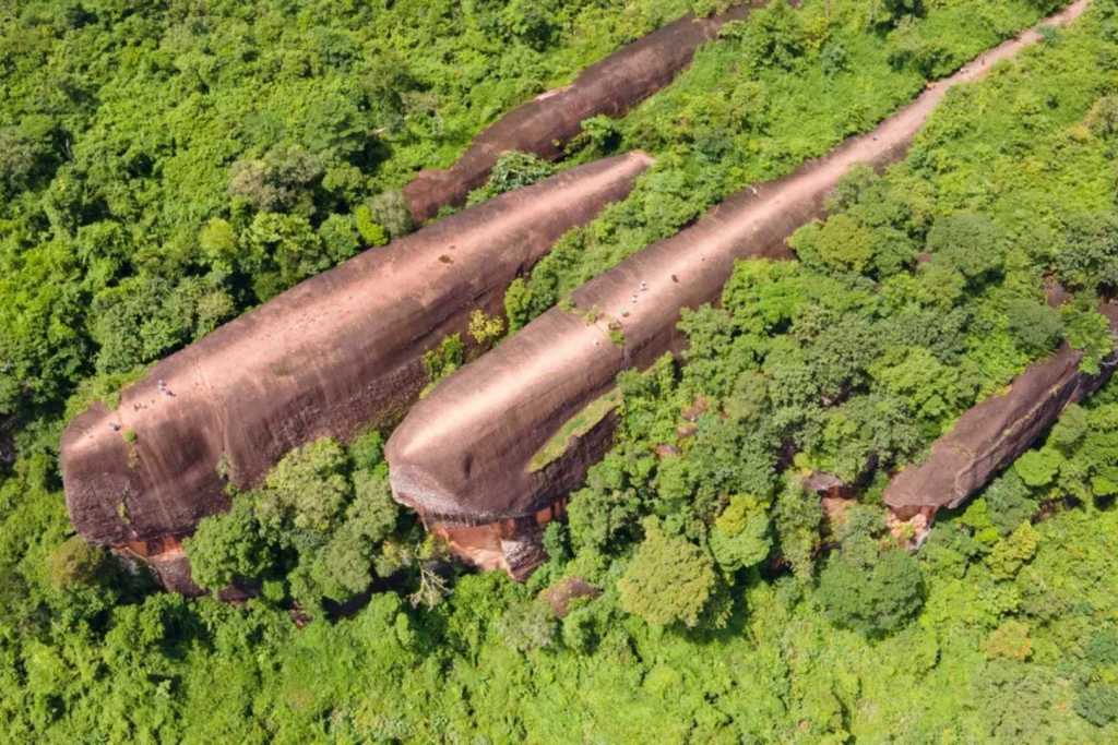 Una vista panorámica que parece sacada de un sueño: las “ballenas” de piedra emergen entre la espesura como si surcaran un mar verde