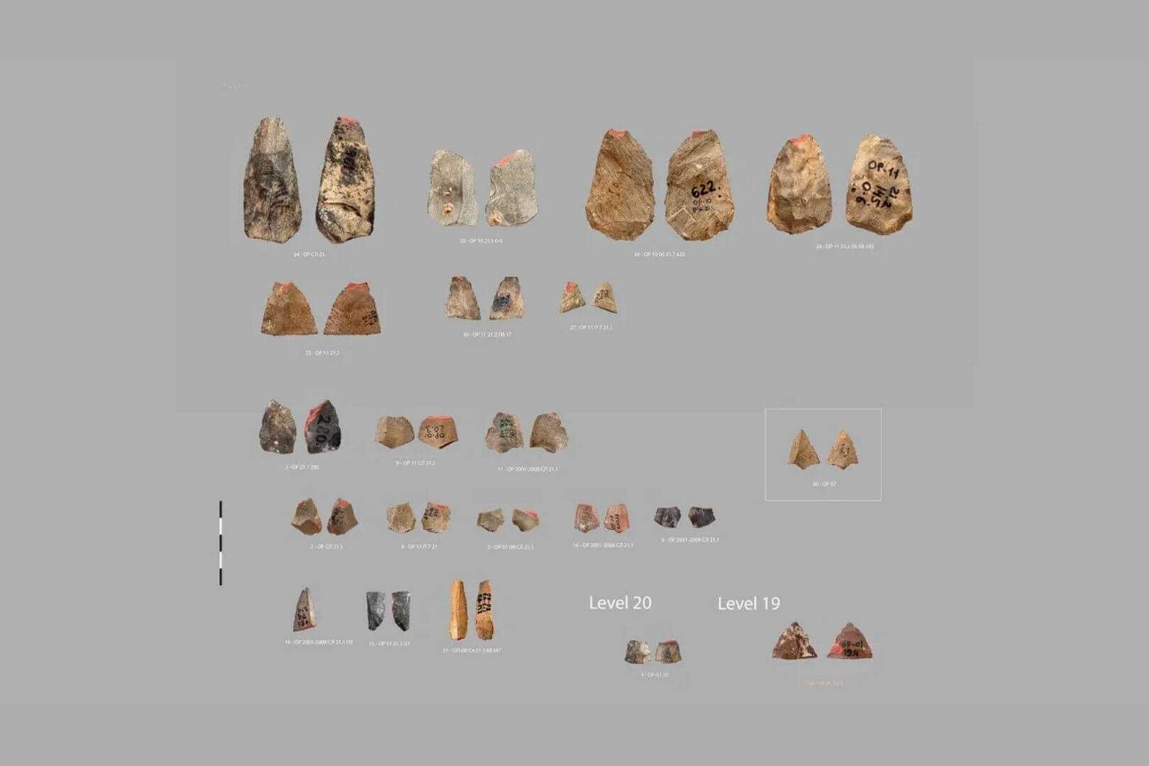 Estas pequeñas piedras de 80.000 años podrían ser las primeras flechas de la humanidad