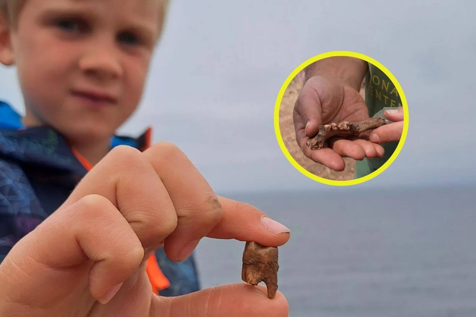 Descubren en Cornualles un posible cementerio costero tras el hallazgo de un niño de 7 años