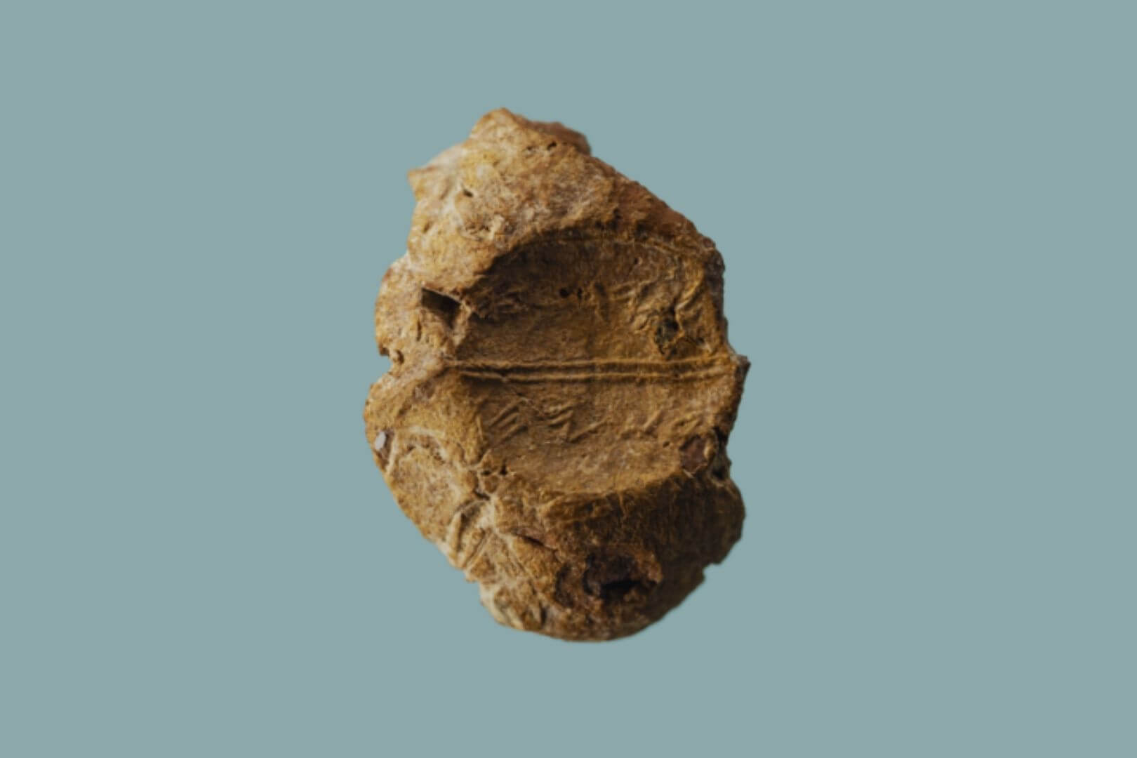 Sello de arcilla del periodo del Primer Templo con la inscripción ‘Yed[a‛]yah, hijo de Asayahu’, hallado en julio de 2025 por el Temple Mount Sifting Project
