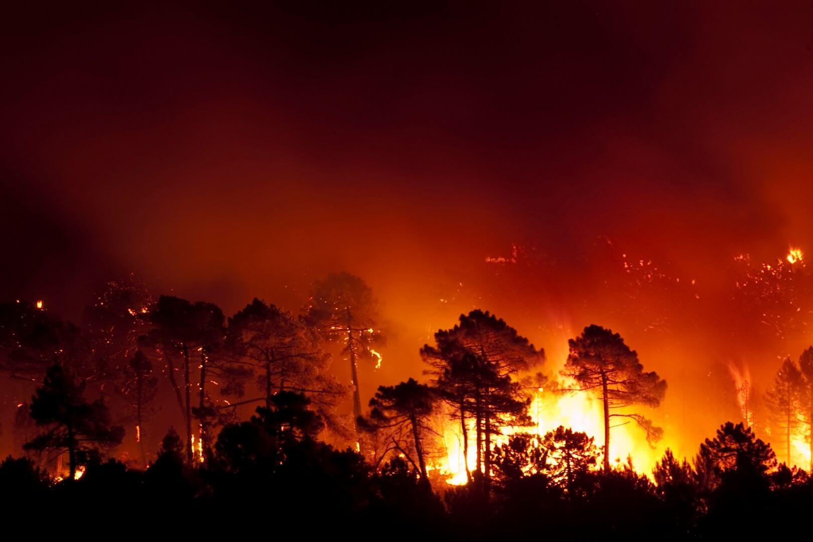 En la nueva realidad climática, basta una chispa para desencadenar una catástrofe