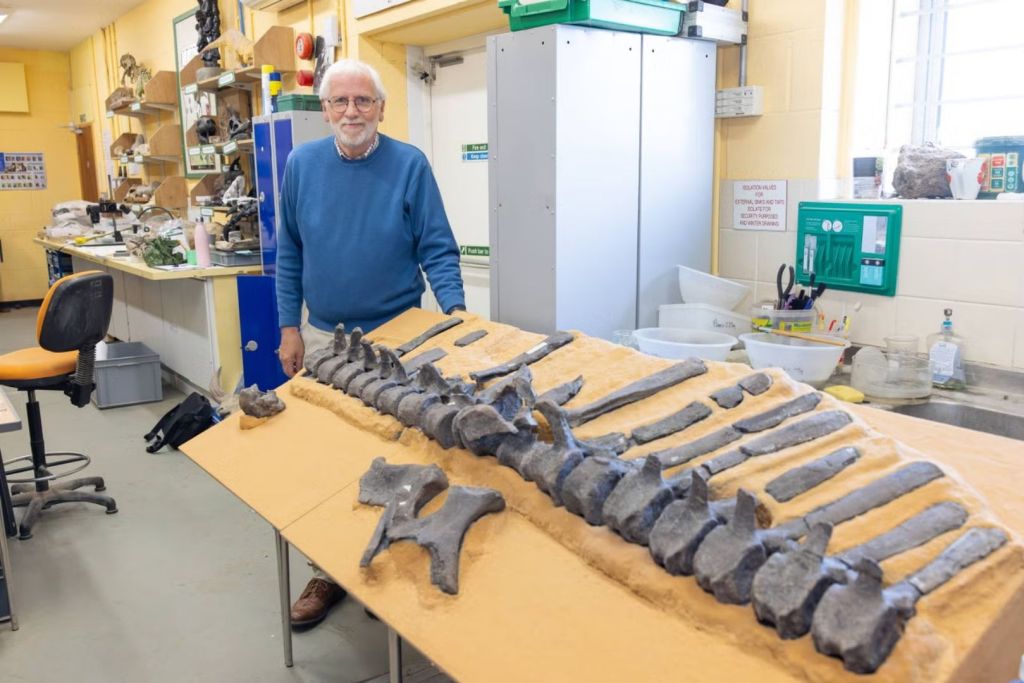 El investigador, un médico jubilado, eligió homenajear a la navegante Dame Ellen MacArthur al dar nombre a la nueva especie