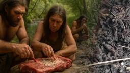 La huella química de los neandertales revela que su dieta incluía carne en descomposición y larvas, clave para su supervivencia en la Edad de Hielo