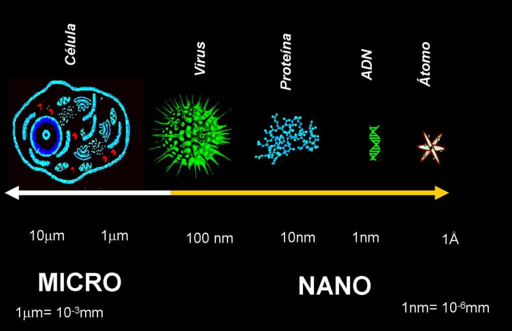 Figura 1 Comparación de diferentes tipos partículas de la naturaleza y su relación con el tamaño. Créditos imagen: Gómez-Villalba, L. S., López-Arce, P., Fort, R., de Buergo, M. Á., & Zornoza, A. (2011). Aplicación de nanopartículas a la consolidación del patrimonio pétreo. La Ciencia y el Arte: Ciencias experimentales y conservación del patrimonio histórico (Vol. 3, pp. 39-58).