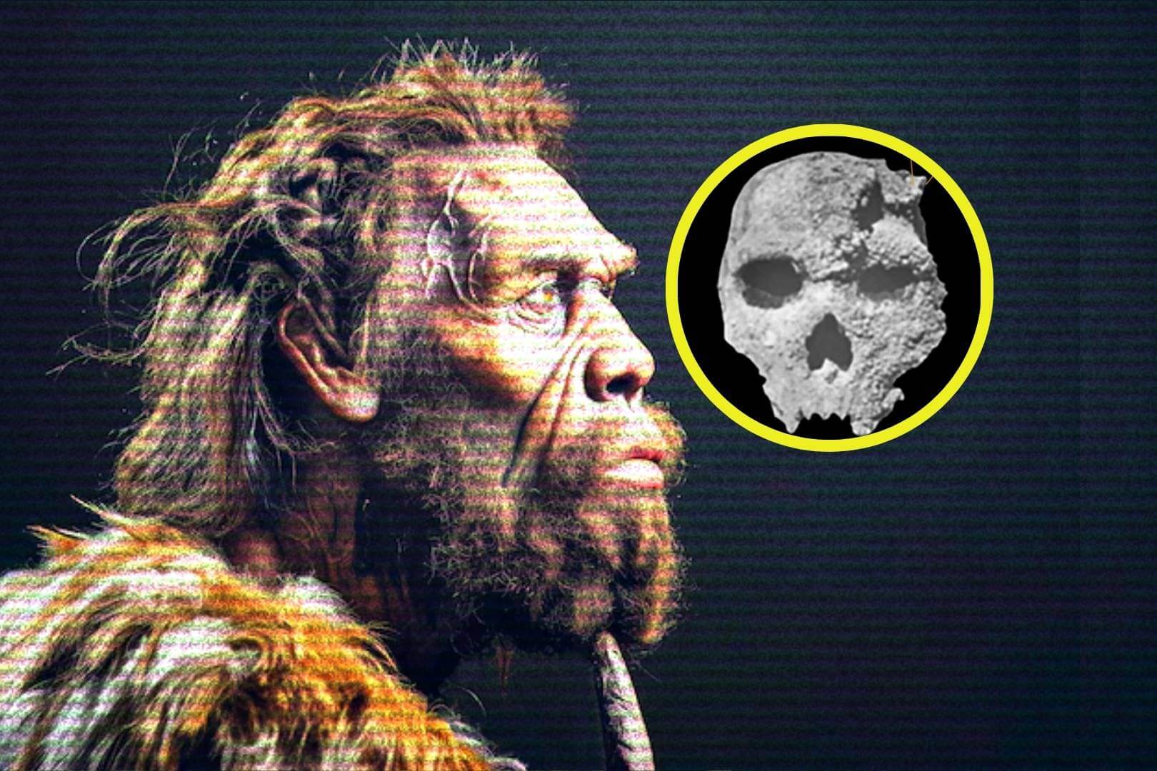 El cráneo de Petralona, hallado en una cueva griega hace más de 60 años, recibe por fin una datación precisa