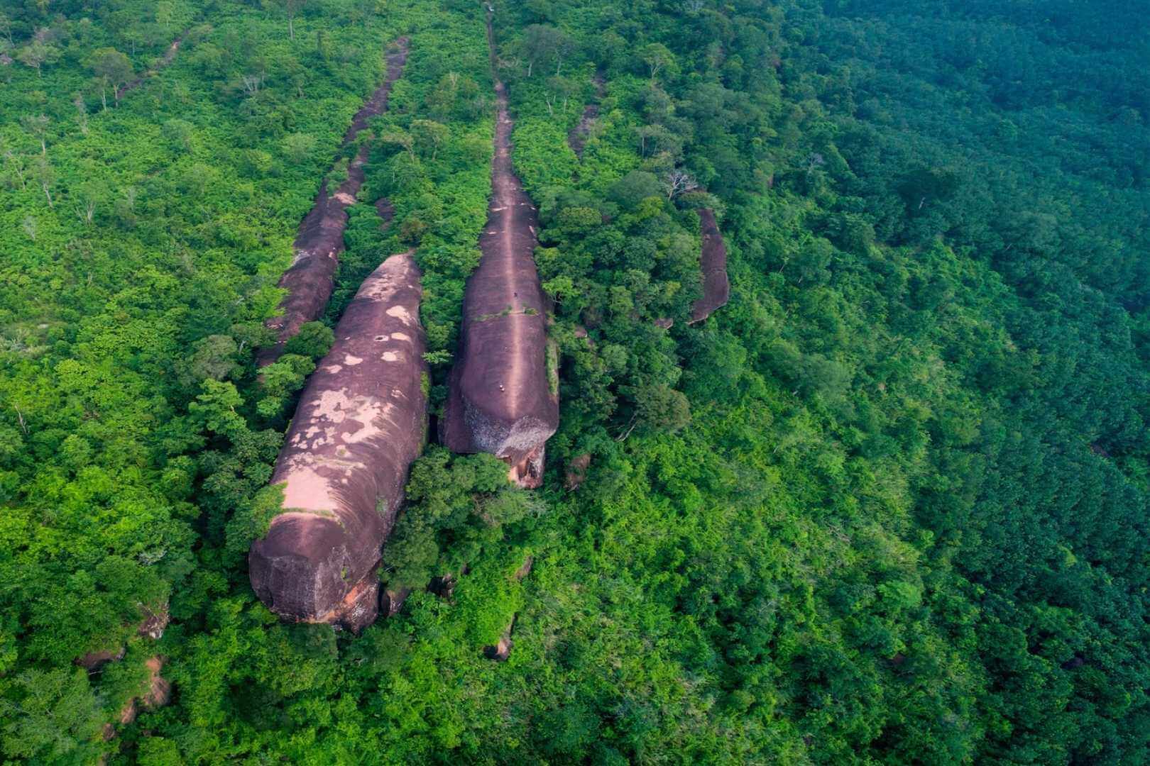 Desde el aire, las imponentes formaciones de piedra se asemejan sorprendentemente a una familia de ballenas deslizándose sobre un océano de árboles