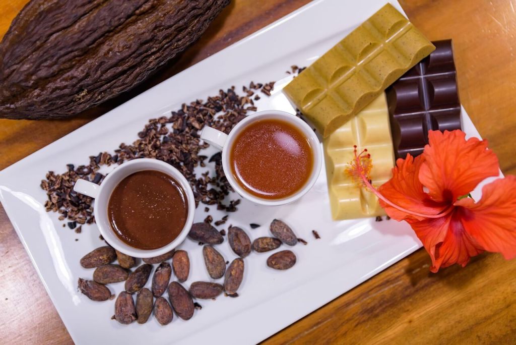 ¿Tiene el chocolate la clave para ralentizar el envejecimiento? Un estudio ofrece pistas sorprendentes sobre los compuestos del cacao 3