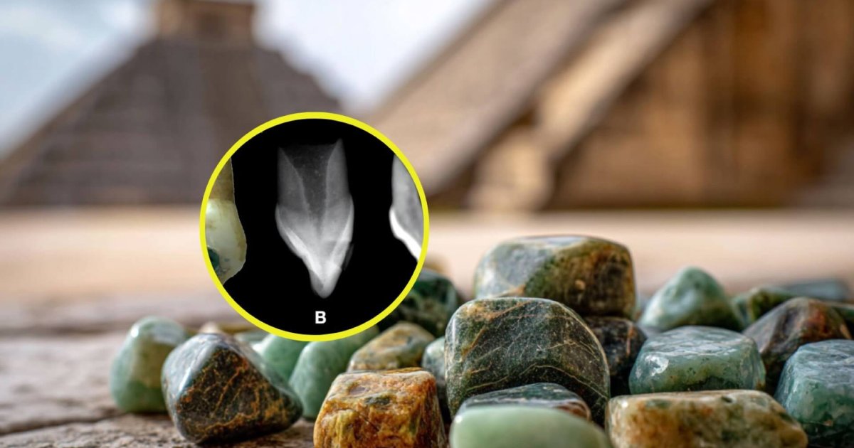 Los mayas ya conocían el grillz: un estudio reciente prueba que los niños de la civilización maya utilizaban joyas dentales de jade