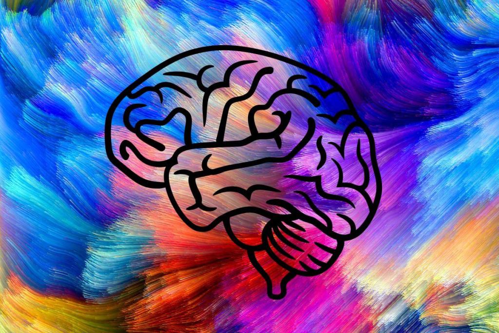 Así se reorganiza el cerebro cuando aprendemos: el hallazgo que puede cambiar las terapias contra el párkinson