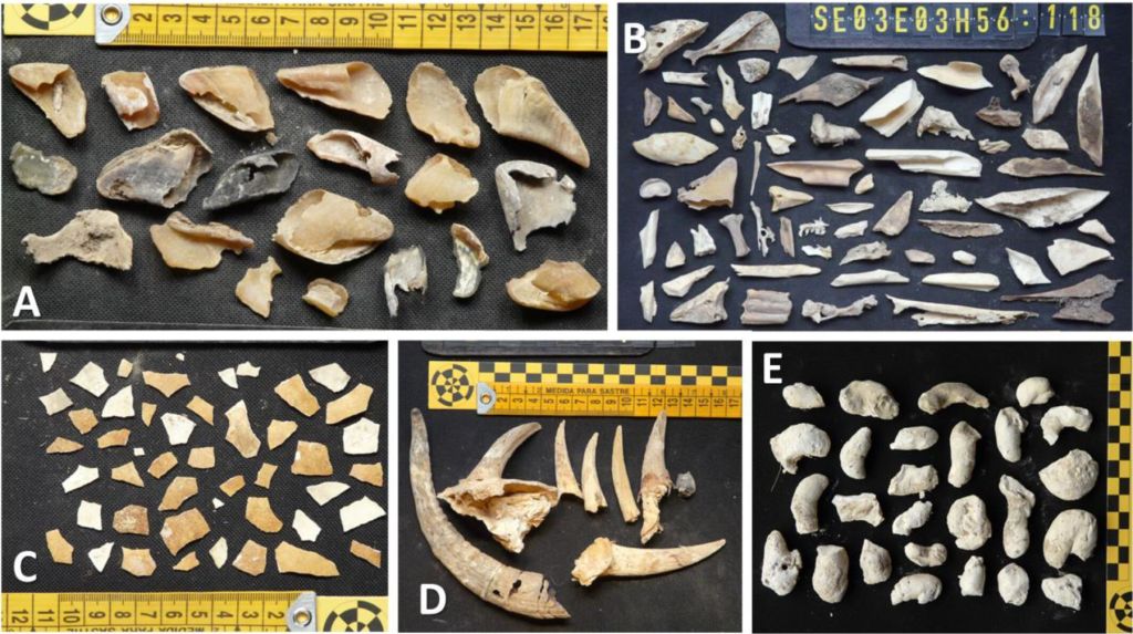 Materiales encontrados en los nidos de quebrantahuesos
