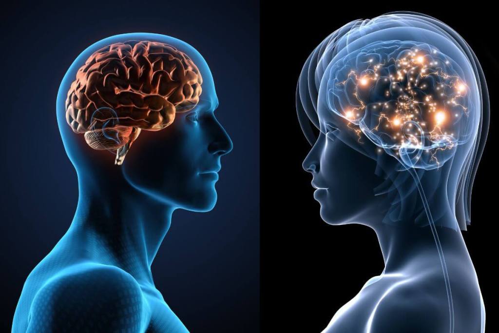 Tu cerebro es único: la ciencia de la plasticidad que explica por qué nadie piensa como tú