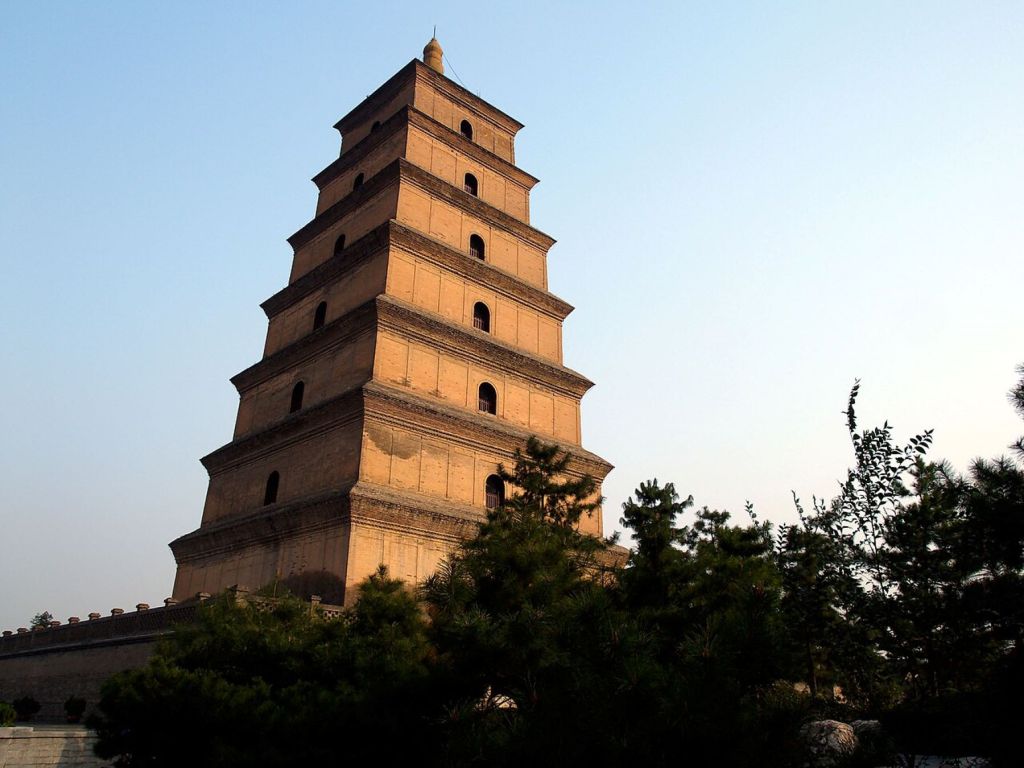 Pagoda Ganso Salvaje 