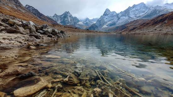 Lago