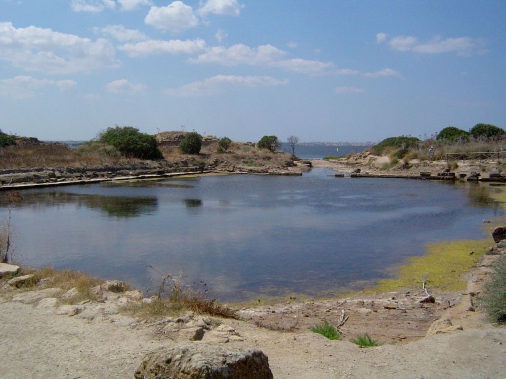 Cothon de Motia