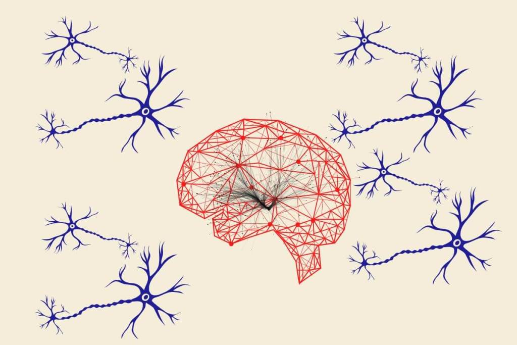 Así se entrena tu cerebro cuando repites un movimiento hasta hacerlo automático 3