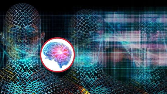 Biología cuántica- cuando la vida usa las reglas de lo diminuto