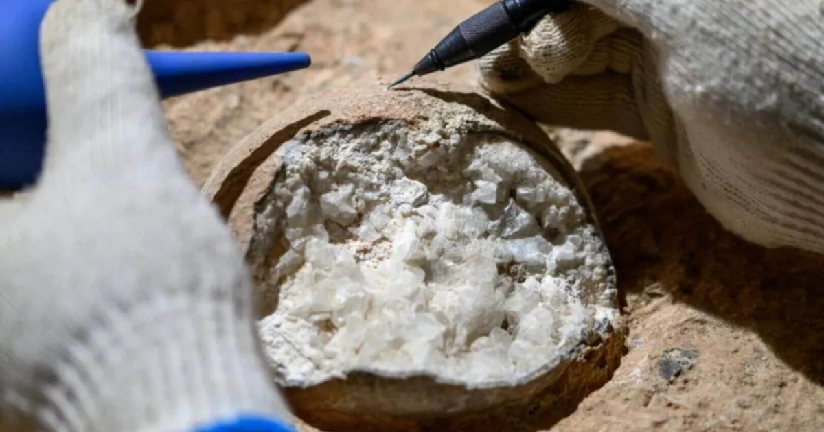 Hallan en China unos huevos de dinosaurio intactos de 85 millones de años: lo que encontraron dentro parece ciencia ficción