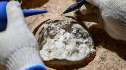 Por primera vez logran fechar huevos de dinosaurio de hace 85 millones de años con una técnica que actúa como un reloj atómico del pasado