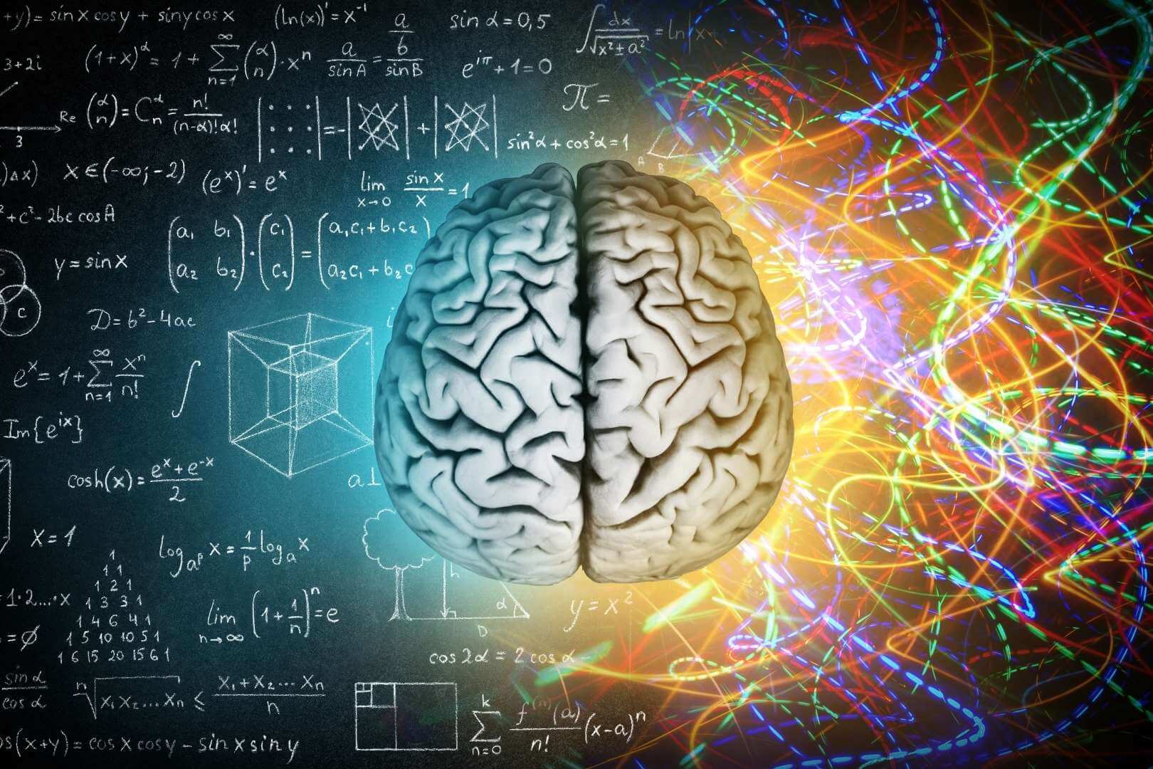 El cerebro humano es único porque combina memoria, emoción y creatividad como ningún otro órgano en la naturaleza
