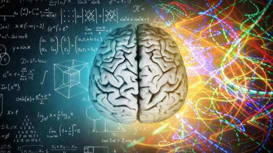 El cerebro humano es único porque combina memoria, emoción y creatividad como ningún otro órgano en la naturaleza
