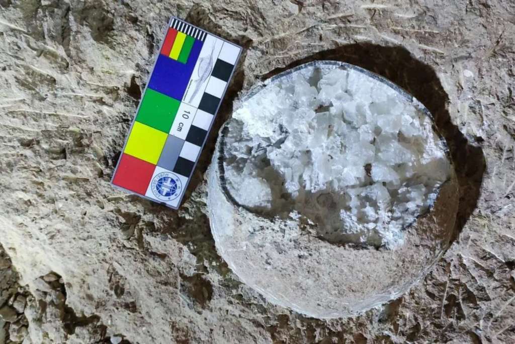 No todos los días se encuentran huevos de dinosaurio tan espectaculares