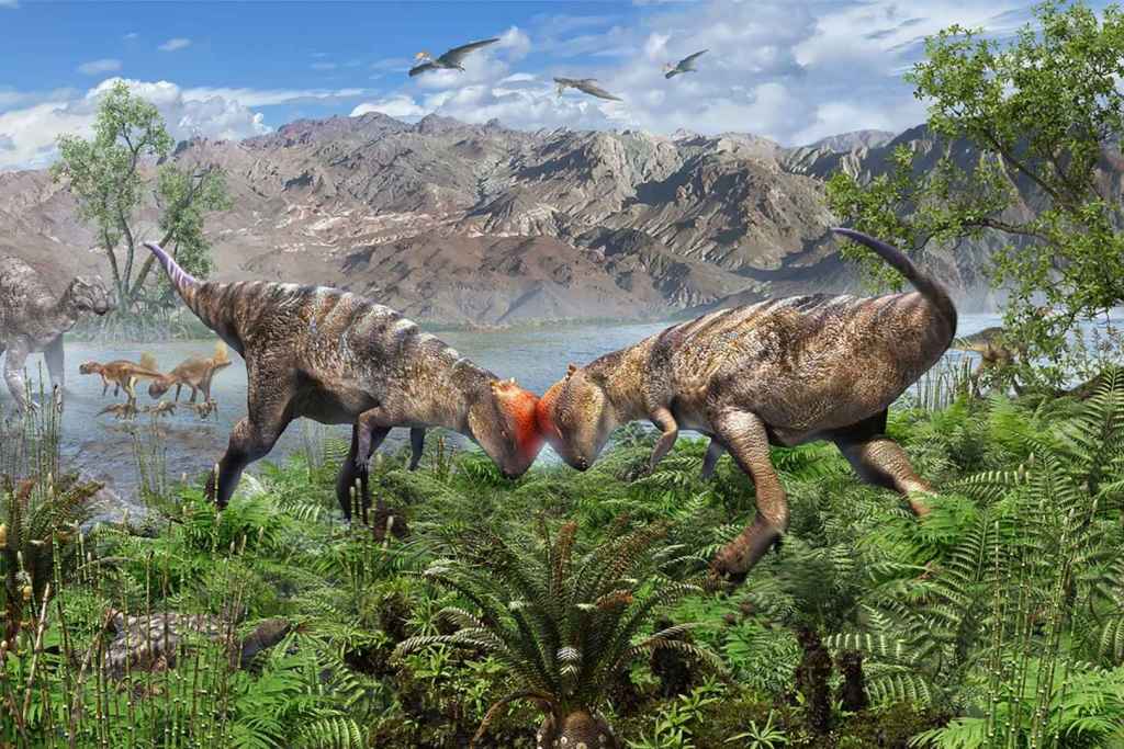 Recreación artística que muestra el enfrentamiento de dos dinosaurios con cráneo abovedado