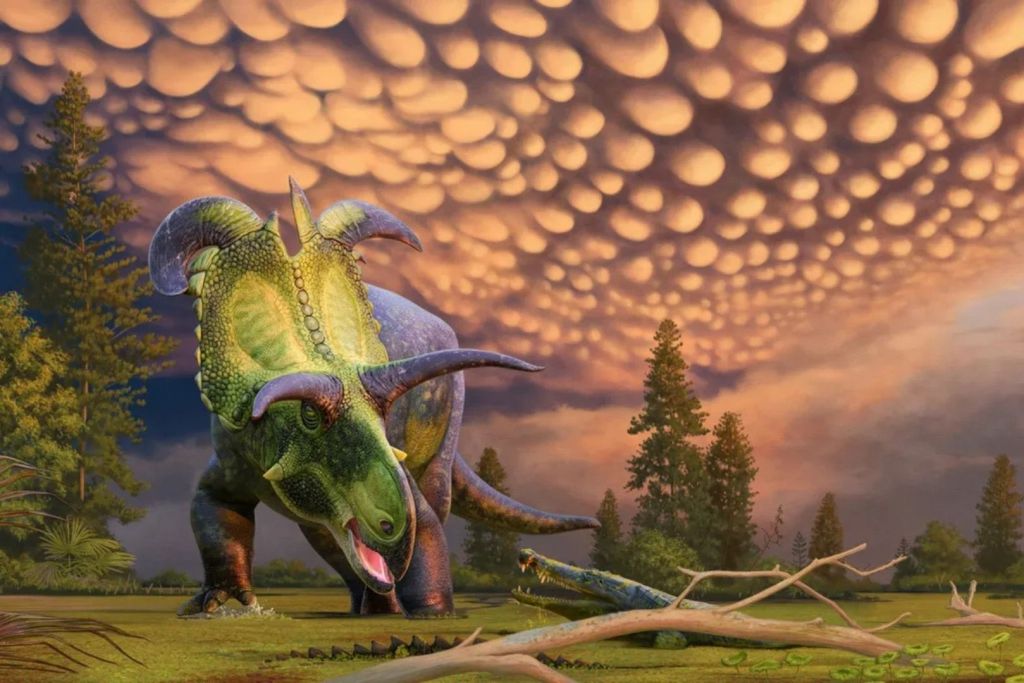Así podría haber lucido Lokiceratops rangiformis en su entorno natural, con sus característicos cuernos curvos y su gran volante óseo