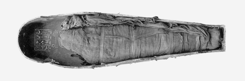 Momia de Amenofis III
