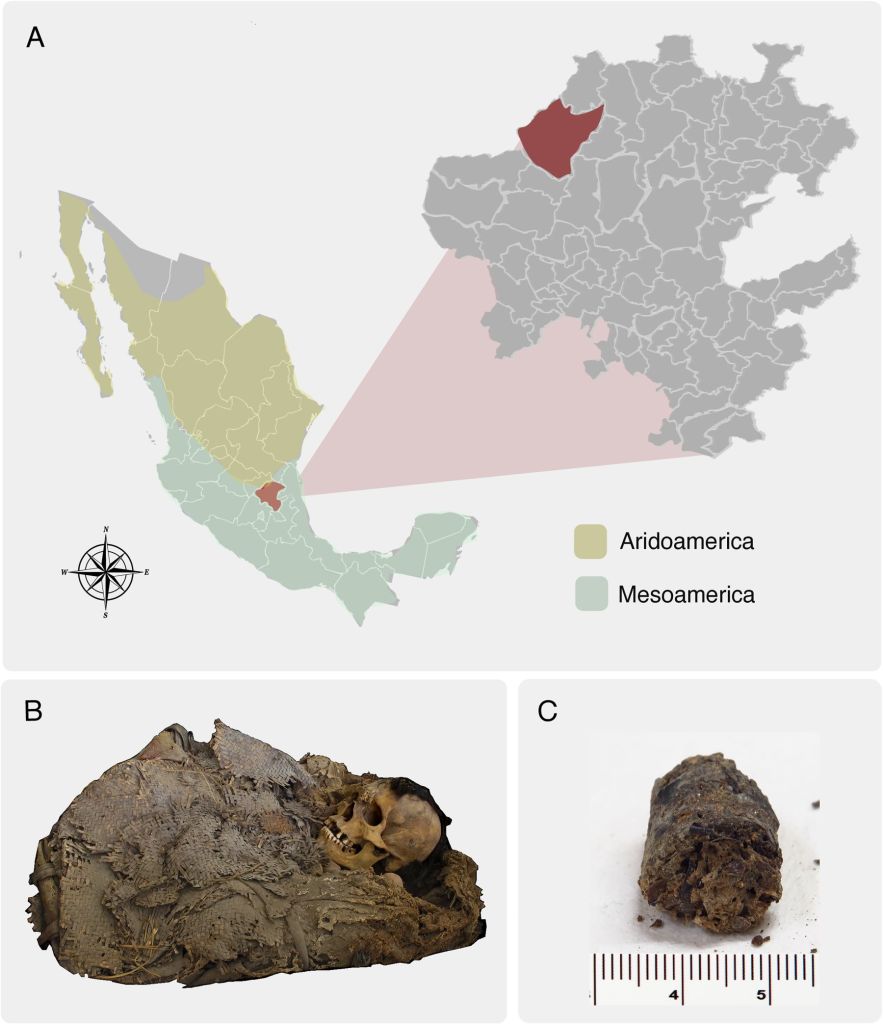 Hombre de Zimapán
