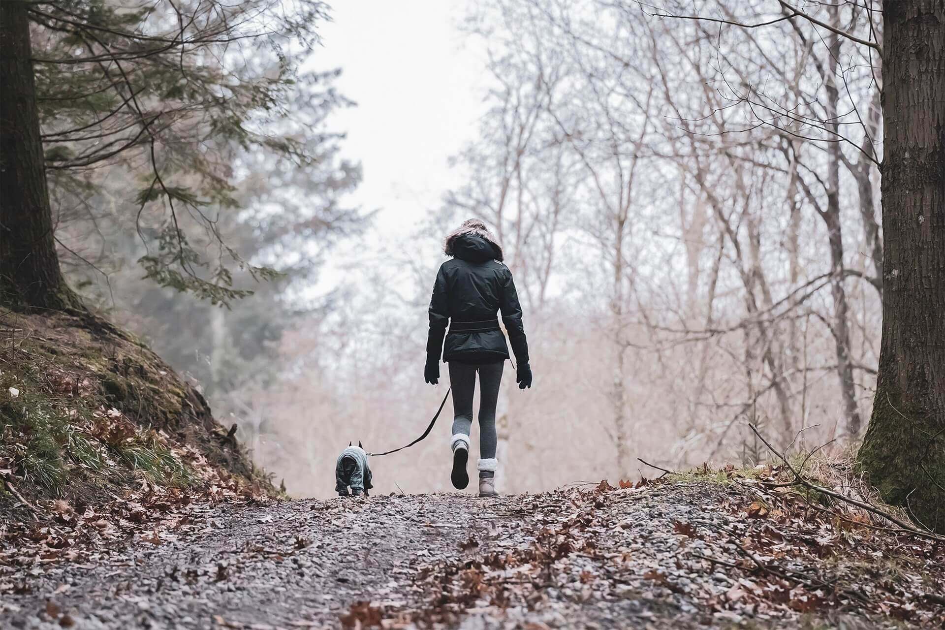 Científicos descubren que trabajar con perros mejora la salud del cuerpo y la mente
