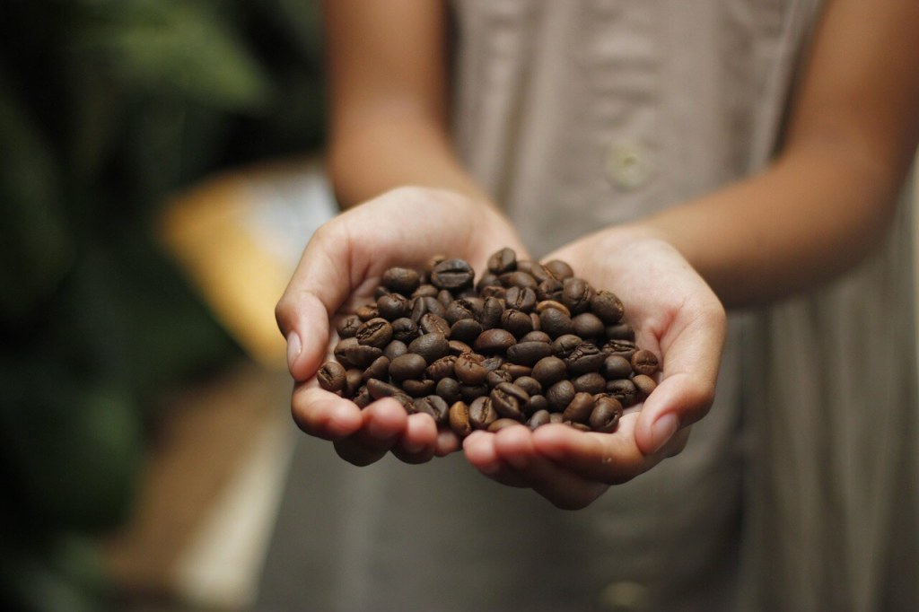 Esta es la (breve) historia del café- el grano que conquistó todos los continentes 1