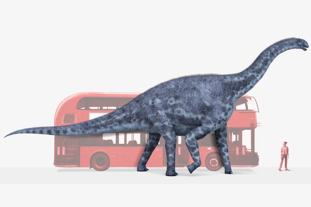 Comparación de tamaño entre un Cetiosaurus, un autobús de dos pisos y una persona: así lucía uno de los gigantes que dejó huellas de un metro de largo en el Oxfordshire jurásico