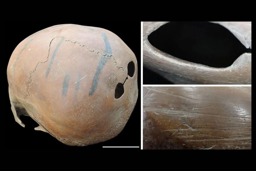 Los arqueólogos han descubierto cuatro cráneos humanos transformados en cuencos rituales en un yacimiento neolítico de China