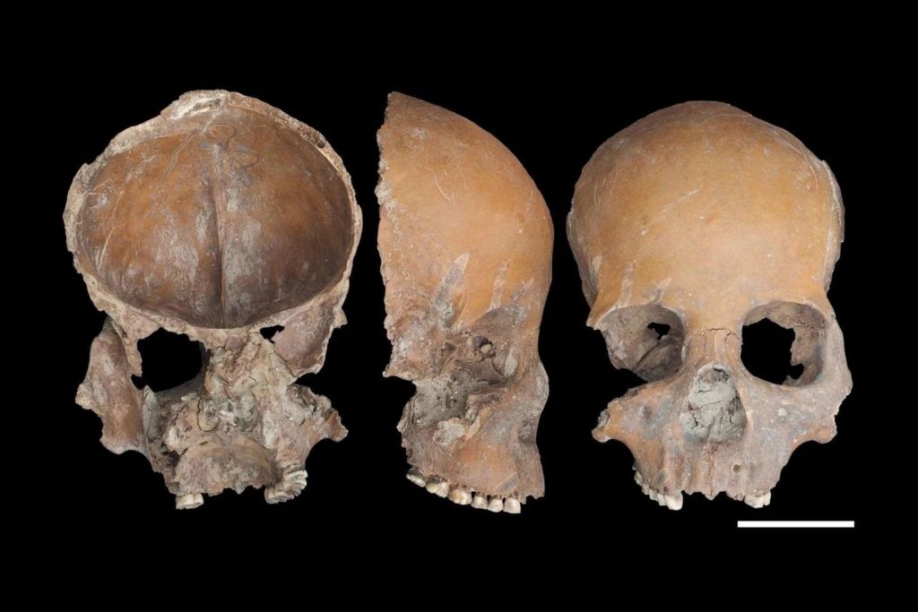 En un antiguo asentamiento neolítico en China, los arqueólogos hallaron cuatro cráneos humanos modificados que recuerdan inquietantes máscaras faciales