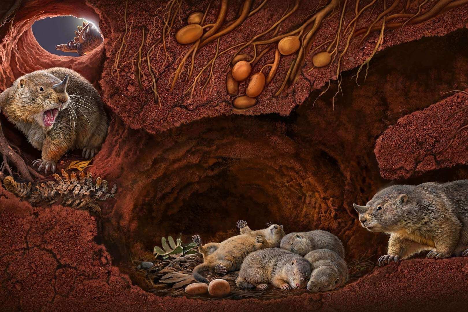Una ilustración reconstruida de Polistodon chuannanensis, que muestra cómo pudo haber lucido este antiguo pariente de los mamíferos