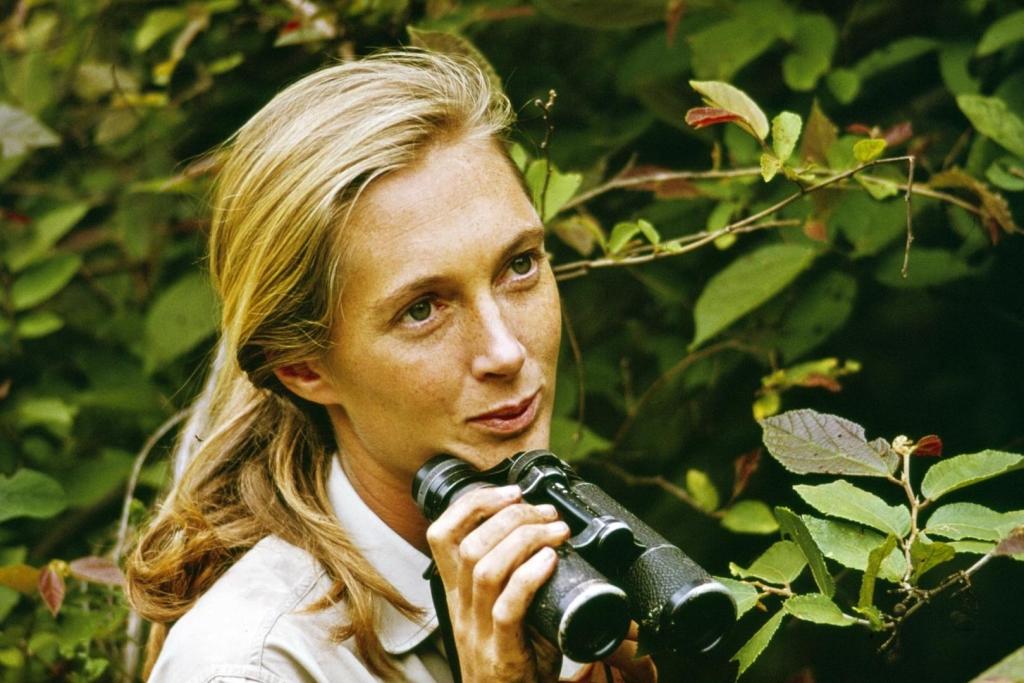 Su cuaderno de campo y una mirada llena de curiosidad bastaron para revolucionar la primatología
