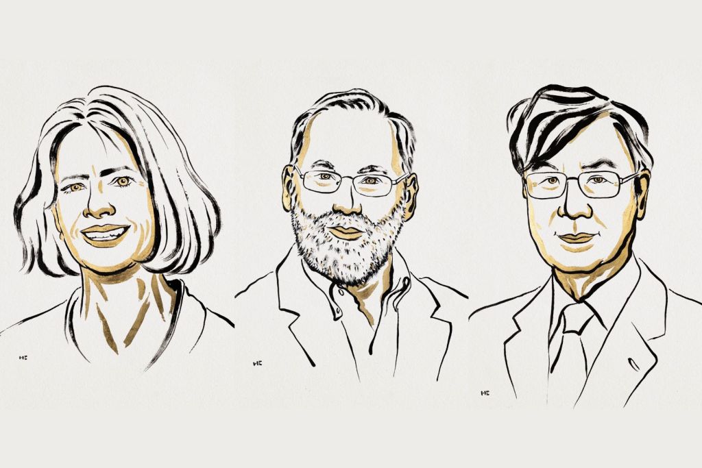 Mary E. Brunkow, Fred Ramsdell y Shimon Sakaguchi han sido reconocidos con el Nobel por descubrir el sistema de control interno del sistema inmune
